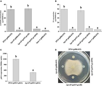 Effect of the Monothiol Glutaredoxin GrxD on 2,4-Diacetylphloroglucinol Biosynthesis and Biocontrol Activity of Pseudomonas fluorescens 2P24